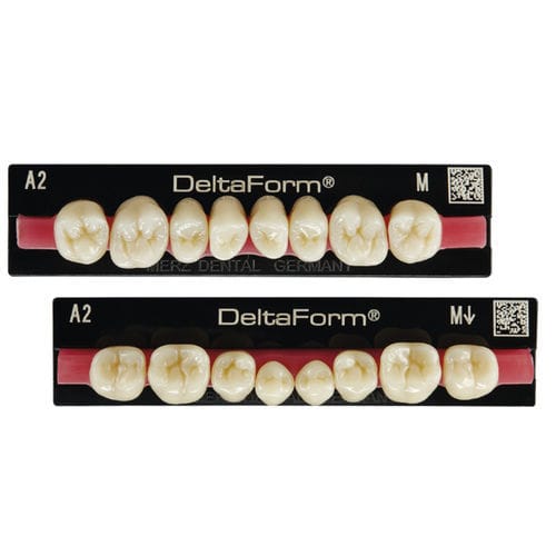 PMMA-Zahnprothese - Delta Form® - Merz Dental GmbH   - für Vorderzähne / für Seitenzähne