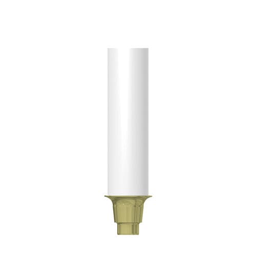 Implantat-Abutment / Kunststoff - CN-GP010 - MIS Implants Technologies Ltd.   - konisch / gerade