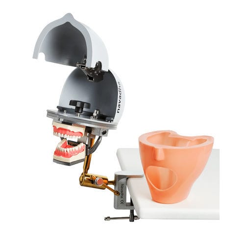 Dental-Trainingspuppe - NA004-AQM - Navadha Enterprises   - Kopf / tragbar