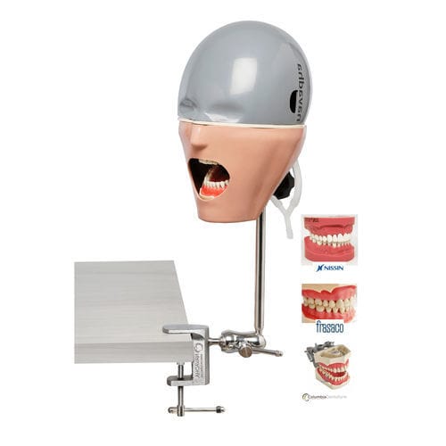 Dental-Trainingspuppe - NAUNI - Navadha Enterprises   - Kopf