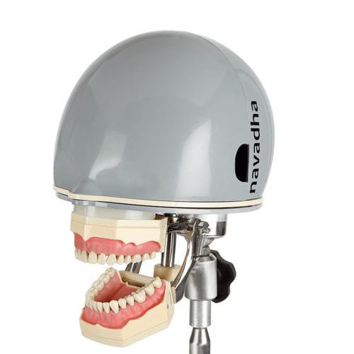 Dental-Trainingspuppe - NA261 - Navadha Enterprises   - Kopf