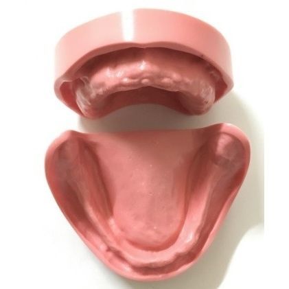 Anatomisches Modell / Dental - SP064 - Navadha Enterprises   - für Zahnprothesen / Ausbildung / Harz