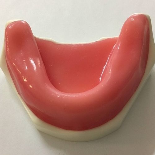Anatomisches Modell / Unterkiefer - SP091 - Navadha Enterprises   - Zahnfleisch / für Implantologie / Ausbildung