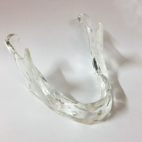 Anatomisches Modell / Unterkiefer - SP067 - Navadha Enterprises   - für Implantologie / für die Ausbildung / transparent