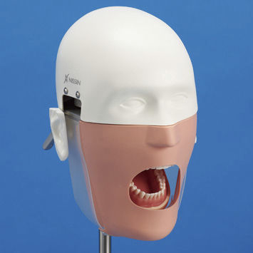 Patientensimulator für Zahnbehandlung - NISSIM Type 1 Advance - Nissin Dental Products Inc.   - Kopf