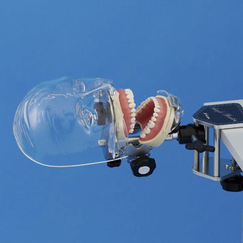 Trainingspuppe für Zahnbehandlung - SIMPLE MANIKIN III - Nissin Dental Products Inc.   - Kopf