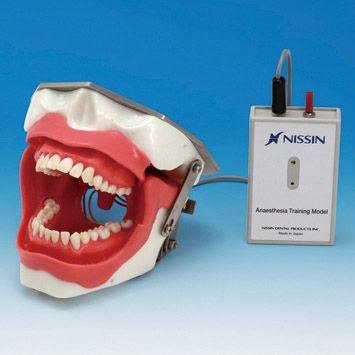 Patientensimulator für Dentalanästhesie - SUG2005-UL-SP - Nissin Dental Products Inc.   - für Injektionen / für Zahnbehandlung / Kopf