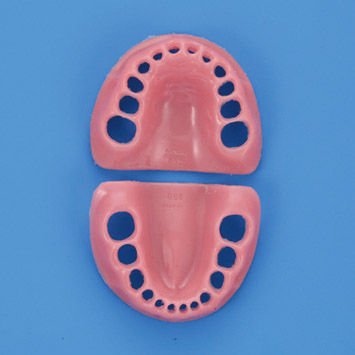 Anatomisches Modell / Zahnfleisch - PDI2001-GUL-SP - Nissin Dental Products Inc.   - Ausbildung / Kinder