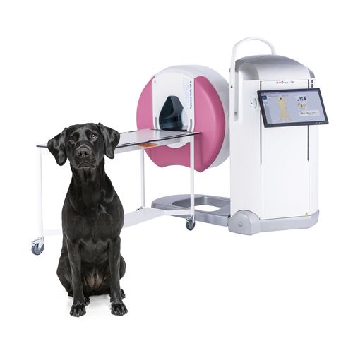 Veterinär-CBCT-Scanner / für Hunde - Verity® - Planmeca