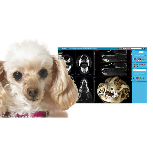 Viewer-Software - Romexis® Viewer - Planmeca - medizinisch / für Kliniken / TEP