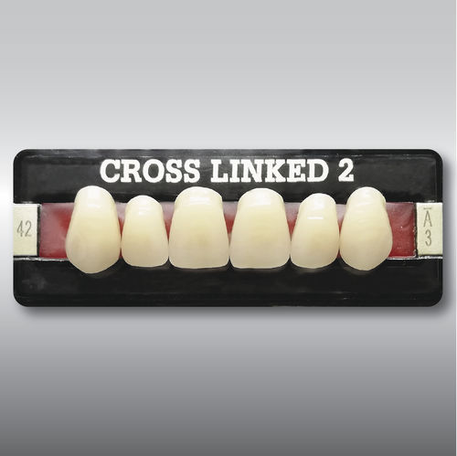 Acrylzahnprothese - CROSS LINKED 2  - POLIDENT d.o.o.   - für Vorderzähne / für Seitenzähne