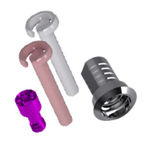 Implantat-Aufbau Pfosten Kit / Titan - MMSEG - RHEIN 83 srl   - Schrauben / für Dentallabor / für Zahnarztpraxis