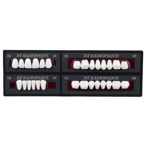 Zahnprothese - Nt Radiopaque - TOROS DENTAL