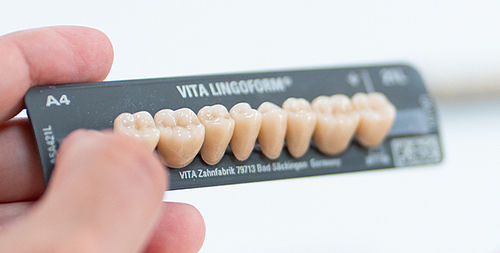 Verbundwerkstoff-Zahnprothese - VITAPAN® LINGOFORM - VITA Zahnfabrik H. Rauter GmbH & Co.KG   - für Seitenzähne