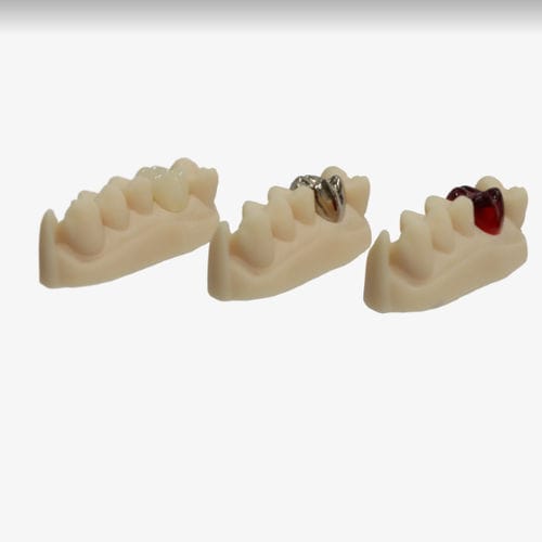 Zahnmedizinisches Material / Harz - VeriCast  - Whip Mix Corporation - zur Dentalrestaurierung / Gieß / Gel