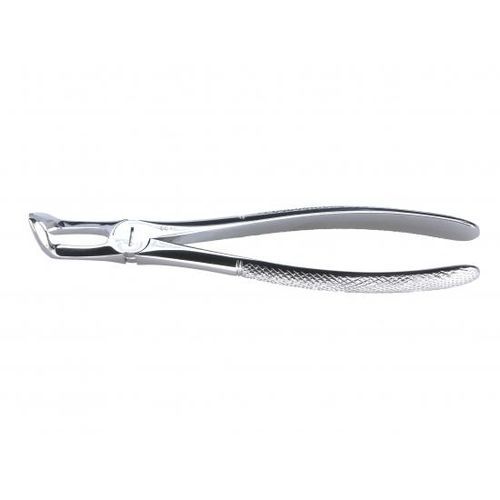 Dentale Extraktionszange / für Weisheitszähne - 332244 - Wittex