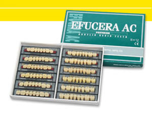 Acrylzahnprothese - EFUCERA AC  - YAMAHACHI DENTAL MFG., CO.   - für Seitenzähne