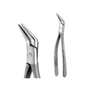 Dentale Extraktionszange / für Zahnwurzeln - 17070 - YDM