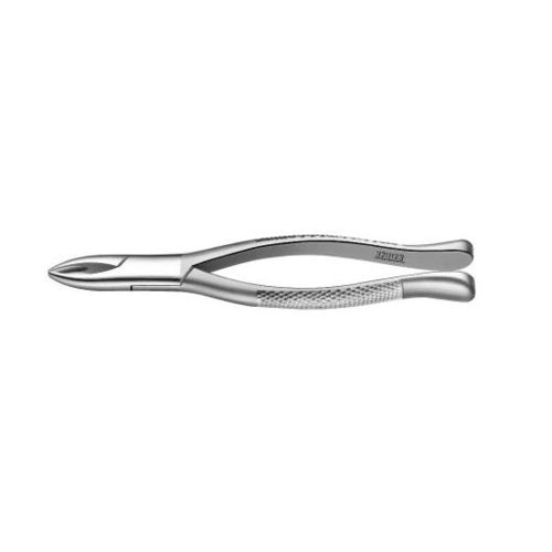 Dentale Extraktionszange / für Vorder- und Hinterextraktion - 17001 - YDM