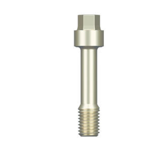 Titan-Verbindungsschraube - BL-OST-H - Z-Systems AG   - gerade