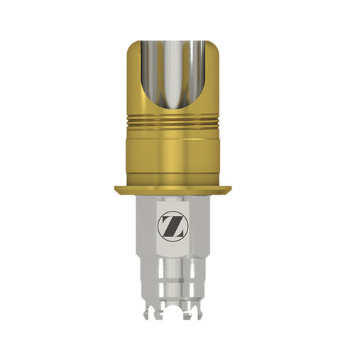 Implantat-Abutment / Titan - Certain® Express - Zimmer Dental - mit Innenverbindung / konisch / gerade