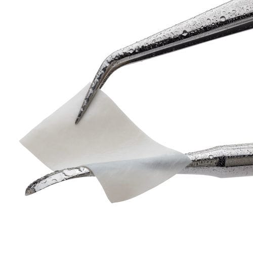 Zahnchirurgie-Matrix - CopiOs® - Zimmer Dental - allograft / xenograft