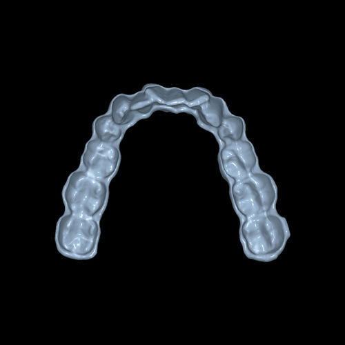 Software-Modul / 3D-Simulation - CAD/CAM Bite Splints - Zirkonzahn - CAD / für Zahnprothese-Design / FAO