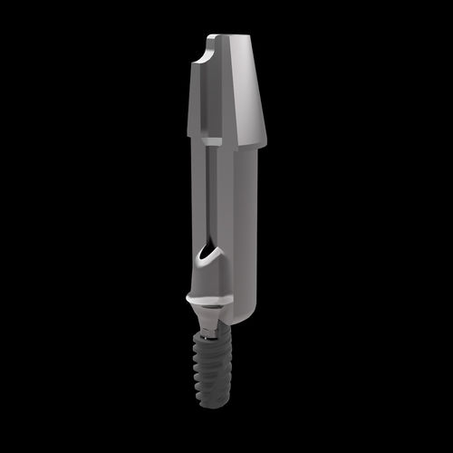 Implantat-Abutment / Titan - Raw-Abutment® - Zirkonzahn - mit Außenverbindung / gerade / Fräs