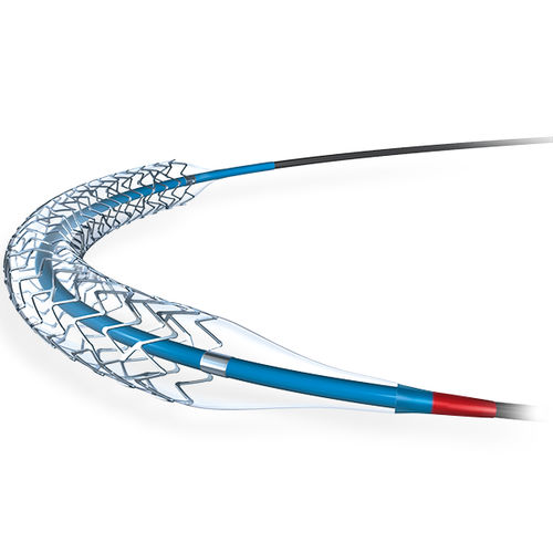 Koronararterien-Stent - Promus PREMIER™ - Boston Scientific - Plation-Chrom / Polymer / medikamentenbeschichtet