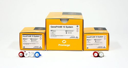 Testkit für die medizinische Forschung - GenePrint® 10  - Promega France - für Identifikationsanalyse / Gene / für Zellen