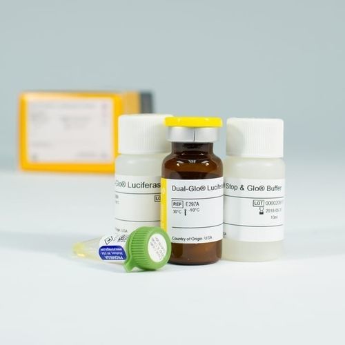Testkit für die medizinische Forschung - Dual-Glo® - Promega France - Zytotoxizität / Gene / für Zellen