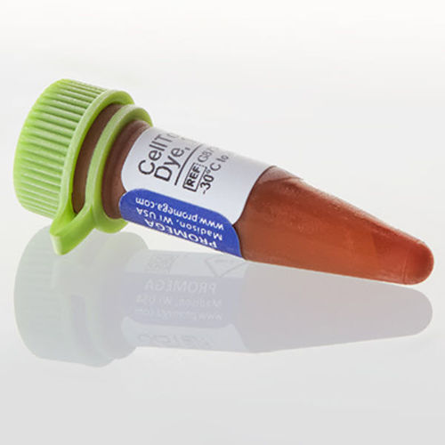 Testkit für die medizinische Forschung - CellTox™ Green - Promega France - Lebensfähigkeit der Zellen / Zytotoxizität / für Zellen