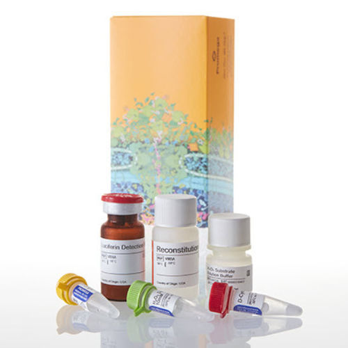 Testkit für die medizinische Forschung - ROS-Glo™ - Promega France - oxydativer Stress / Wasserstoffperoxid / für Zellen