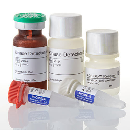 Testkit für die medizinische Forschung - ADP-Glo™ - Promega France - biologische Aktivität / für Enzyme / ATP