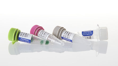 DNA-Polymerase-Reagenz - GoTaq® G2 Flexi - Promega France - Taq-Polymerase / für Forschungszwecke / für PCR