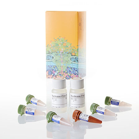 Enzyme-Reagenz - GoTaq® - Promega France - Farbstoff / für Forschungszwecke / für PCR