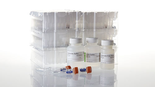 K-Proteinase-Reagenzkit - Maxwell®  - Promega France - Gewebe / für DNA-Extraktion / Nukleinsäure