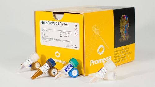 Reagenzkit / als Lösung - GenePrint® 24  - Promega France - Farbstoff / Gewebe / Nukleinsäure