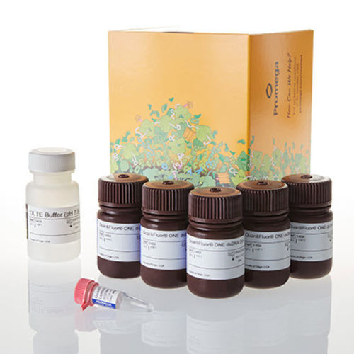 Farbstoff Reagenzkit - QuantiFluor® ONE - Promega France - Nukleinsäure / für Mikrobiologie