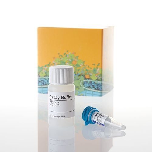Testkit für die medizinische Forschung - CellTiter-Fluor™ - Promega France - Lebensfähigkeit der Zellen / Zytotoxizität / Protease