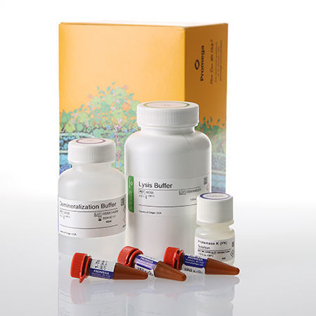 Reagenzkit / als Lösung - DC6051 - Promega France - Pufferlösung / für Forschungszwecke / für Kapillarelektrophorese