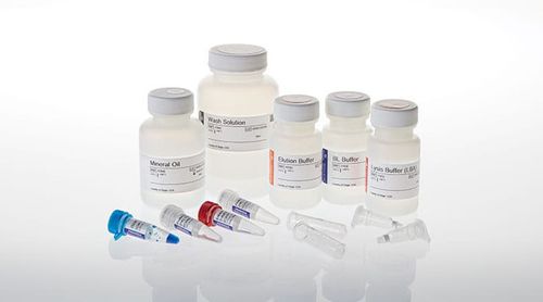 Reagenzkit / als Lösung - ReliaPrep™  - Promega France - FFPE-Gewebe / für DNA-Extraktion / genomische DNA