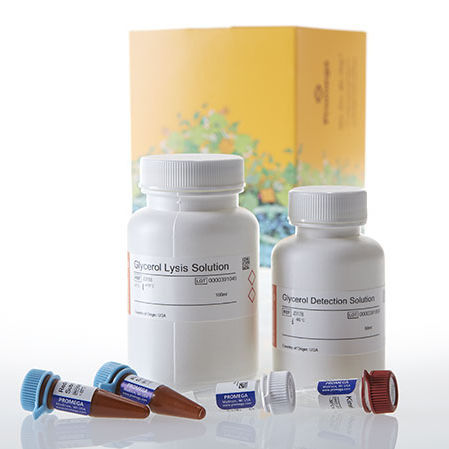 Serum-Reagenzkit - Glycerol-Glo™ - Promega France - Gewebe / für biologische Proben / Phosphat