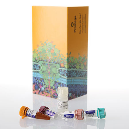 Testkit für Forschungszwecke - Lumit® - Promega France - für Zellen / Immunoassay