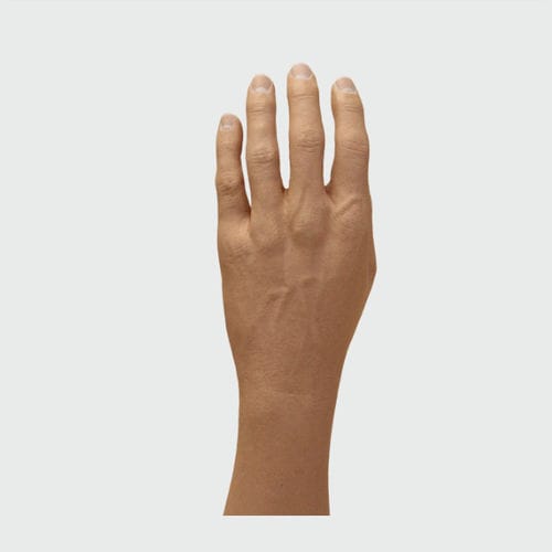 Kosmetische Handprothese - SG-PH/- - College Park - Teil / für Erwachsene