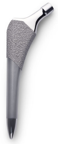 Zementfreie Hüftschaftprothese - Alpine® - Ortho Development