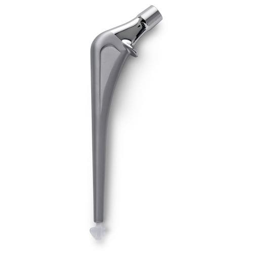Zementierte Hüftschaftprothese - ALPINE® - Ortho Development