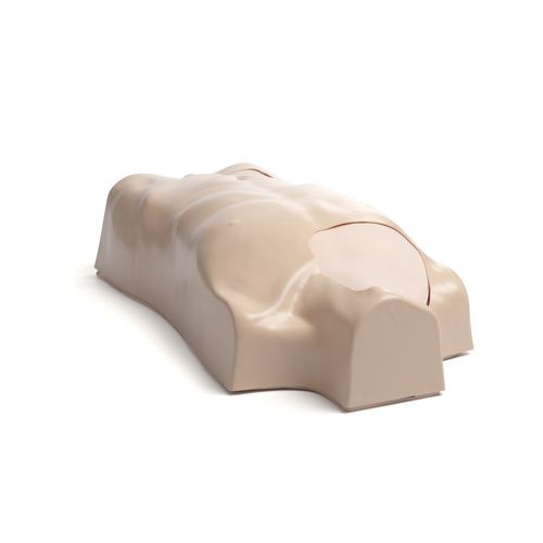 Trainingssimulator - Laerdal IV - Laerdal Medical - für intravenöse Injektion / für Punktionen / für Allgemeinpflege