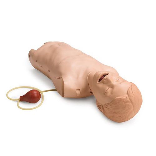 Simulator für die Ausbildung - 255-00001 - Laerdal Medical - Atemwegsmanagement / für Allgemeinpflege / Anatomie