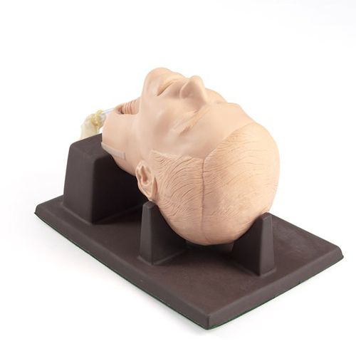 Trainingssimulator - 261-01001 - Laerdal Medical - für Koniotomie / chirurgisch / männlich